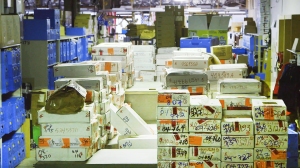 I AM EVIDENCE exposes the hundreds of thousands of untested rape kits stockpiled across the country, which stymies the use of critical DNA evidence to identify and convict rapists, and bring closure to their victims. Photo courtesy HBO.